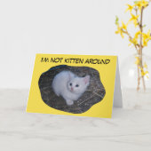 Nicht Kätzchen herum Karte (Gelbe Blume)