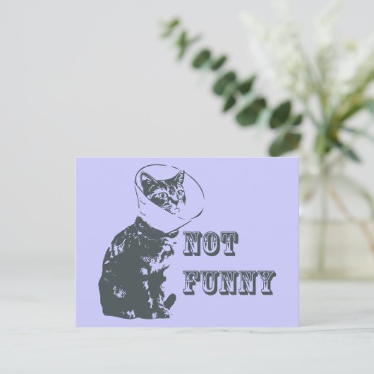 Nicht lustig postkarte (Stehend Vorderseite)