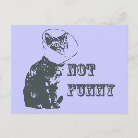 Nicht lustig postkarte (Vorderseite)