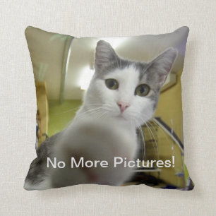 Nicht mehr Bild-Katzen-Kissen Kissen