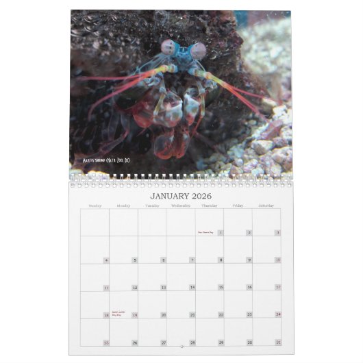 "Nicht mehr charismatisches Megafauna!" - Kalender (Jan 2026)