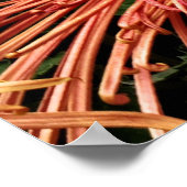 Nicht mehr konform poster (Ecke)