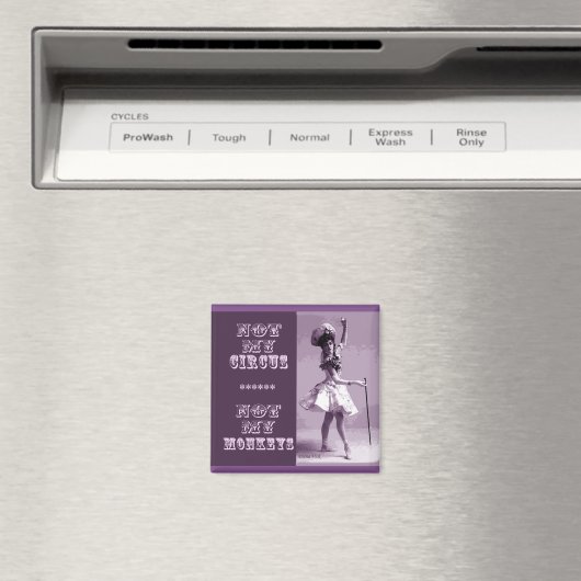 Nicht mein Circus Magnet (In Situ (Geschirrspüler))