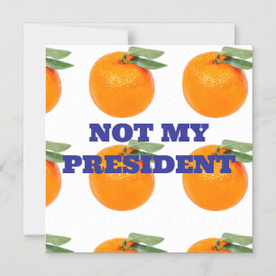 NICHT MEIN PRÄSIDENT MAGNET
