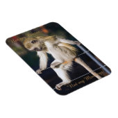 Nicht mein Zirkus, nicht mein Affenmagnet Magnet (Rechte Seite)