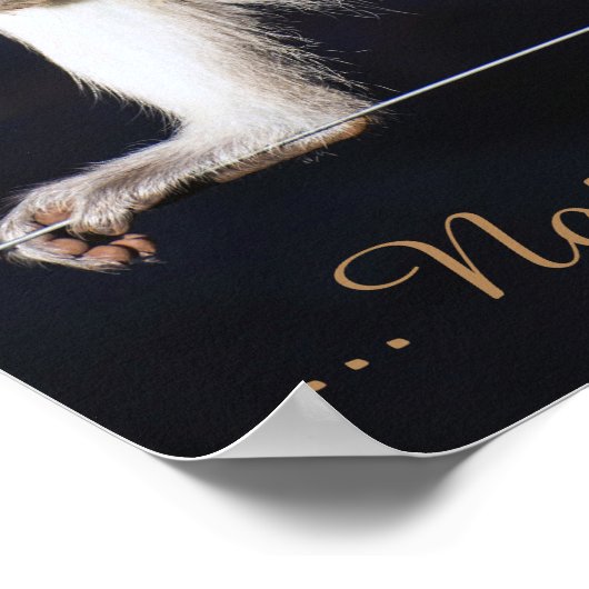 Nicht mein Zirkus, nicht mein Affenplakat Poster (Ecke)