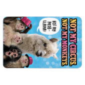 Nicht mein Zirkus, nicht meine Affen, nicht mein P Magnet (Horizontal)