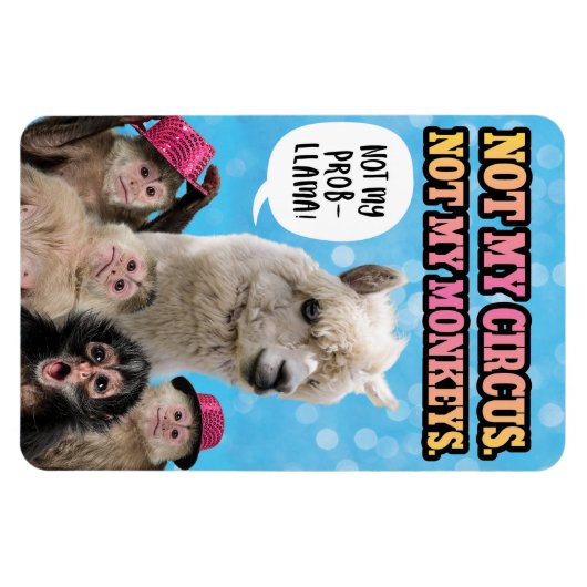 Nicht mein Zirkus, nicht meine Affen, nicht mein P Magnet (Horizontal)