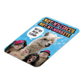 Nicht mein Zirkus, nicht meine Affen, nicht mein P Magnet (Linke Seite)