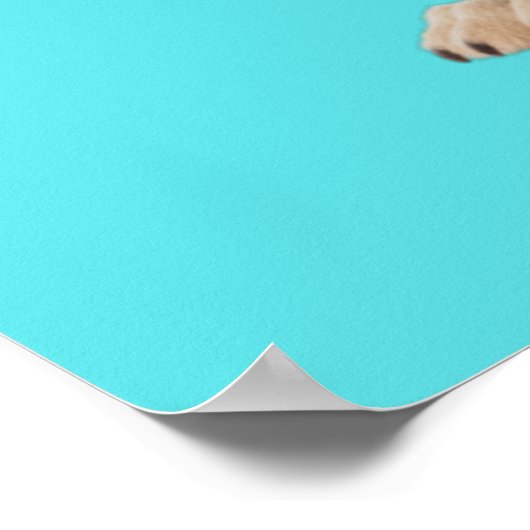 Nicht mit dieser Prinzessin durcheinander bringen Poster (Ecke)