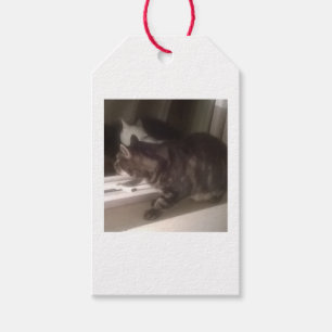 Nicht mit dir reden Dave Gift Tags Geschenkanhänger