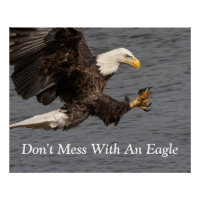 Nicht mit einem Adler durcheinander bringen