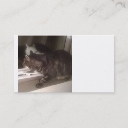 Nicht mit Ihnen reden Dave Business Cards Visitenkarte (Vorderseite)