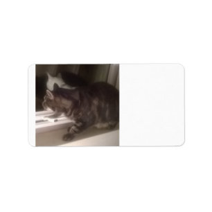 Nicht mit Ihnen sprechen Dave Address Labels Adressaufkleber