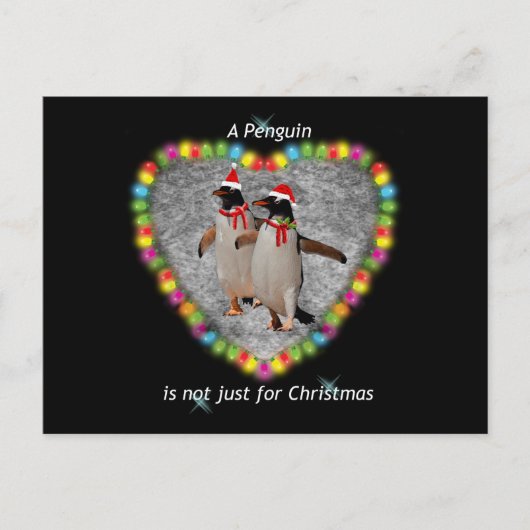 Nicht nur Weihnachts-Postkarte Postkarte (Vorderseite)