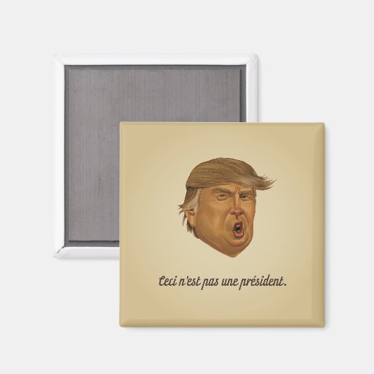 Nicht Präsident Magnet (Vorderseite/Rückseite)