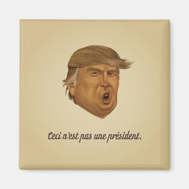 Nicht Präsident Magnet