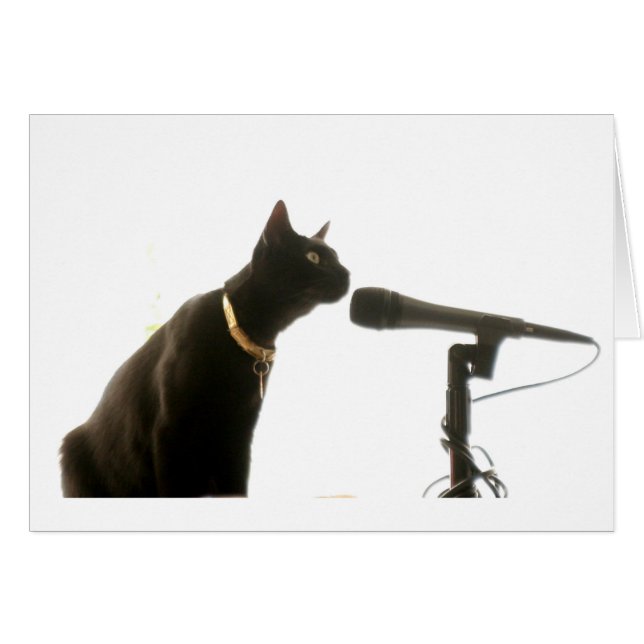 Nicht RCA (Vorderseite (Horizontal))