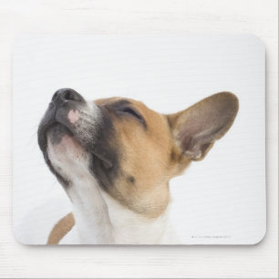 Nicht reinrassiger Welpe Mousepad