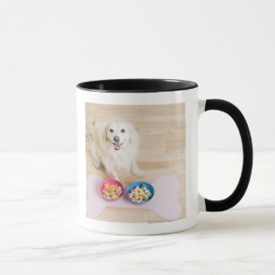 nicht reinrassiges Sitzen vor zwei Schüsseln mit Tasse