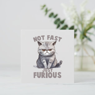 Nicht schnell, nur wütend - Spaß der Grauen Katze
