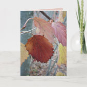 Nicht schon gefallen karte (Vorderseite)