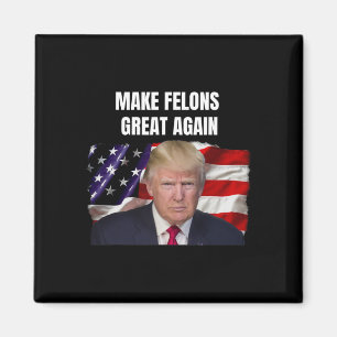 Nicht schuldig magnet