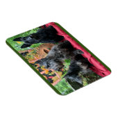 Nicht sehen magnet (Rechte Seite)