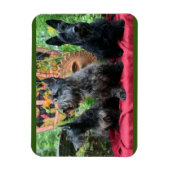 Nicht sehen magnet (Vertikal)