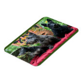 Nicht sehen magnet (Linke Seite)