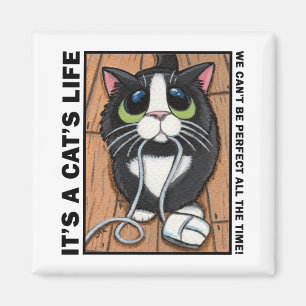 Nicht sein kann perfektes v.01 - es ist das magnet