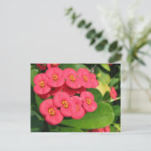 Nicht sicher, welche Blume das ist Postkarte (Stehend Vorderseite)