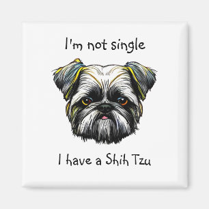 Nicht Single habe ich einen Shih Tzu Magnet