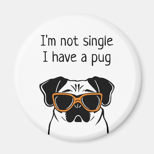 Nicht Single Magnet (Vorne)