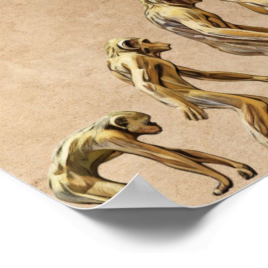 Nicht so subtil gegen Trump Poster (Ecke)