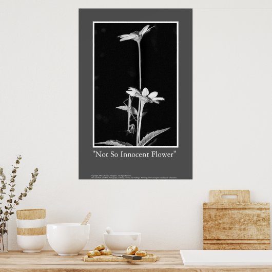 Nicht so unschuldige Blume Poster (Küche)