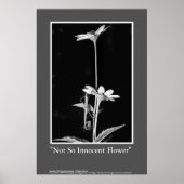 Nicht so unschuldige Blume Poster (Vorne)