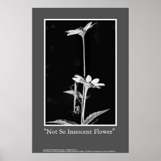 Nicht so unschuldige Blume Poster