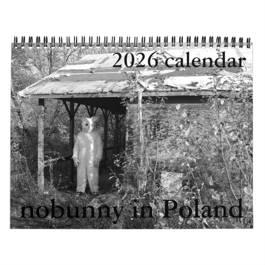 nicht sonnig im polnischen Kalender 2026 (Titelbild)