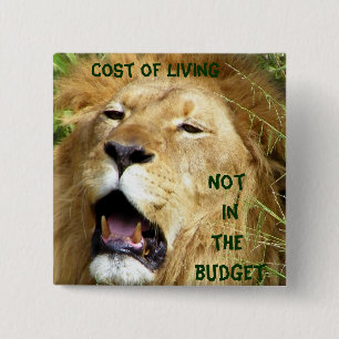 Nicht über den Knopf Budget_ Button