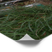 Nicht überall hin gehen poster (Ecke)