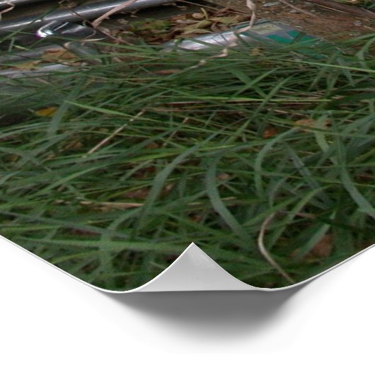 Nicht überall hin gehen poster (Ecke)