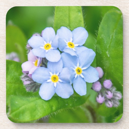 Nicht vergessen, harter Kunststoff-Untersetzer Getränkeuntersetzer (Vorderseite)