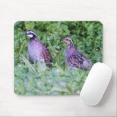 Nicht virginische Wachteln Mousepad (Mit Mouse)