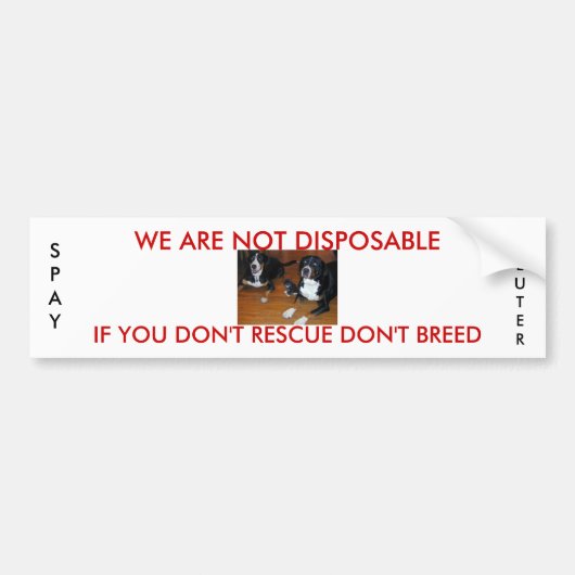 nicht Wegwerfhaustierrettung Autoaufkleber (Vorne)