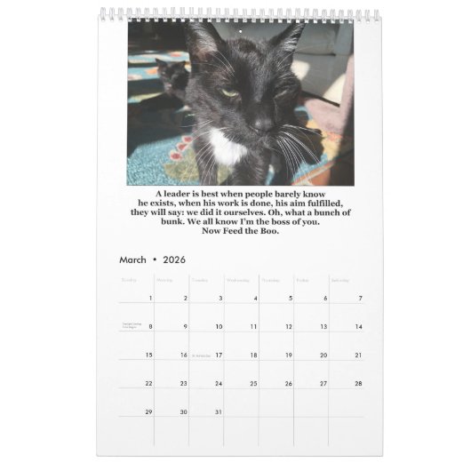 Nicht ziemlich genaues Zitat-Volumen 3 Kalender (Mär 2026)