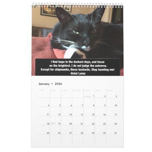 Nicht ziemlich genaues Zitat-Volumen 3 Kalender (Jan 2026)