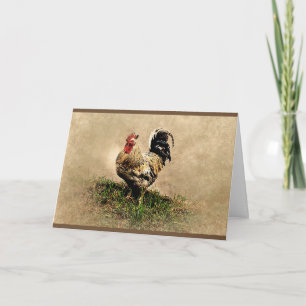 Nicht zu Hühnerrooster Geburtstagskarte Karte