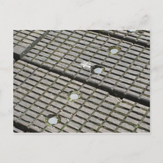 nicht zwischen den Rissen fallen Postkarte (Vorderseite)