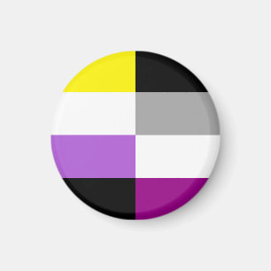 Nichtbinäre asexuelle Dual-Pride-Flagge Magnet